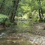 Mes Maisons - Two With Private And Shared Pools In Cevennes בית נופש Gagnières