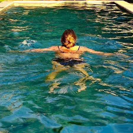 Mes Maisons - Two With Private And Shared Pools In Cevennes Gagnières