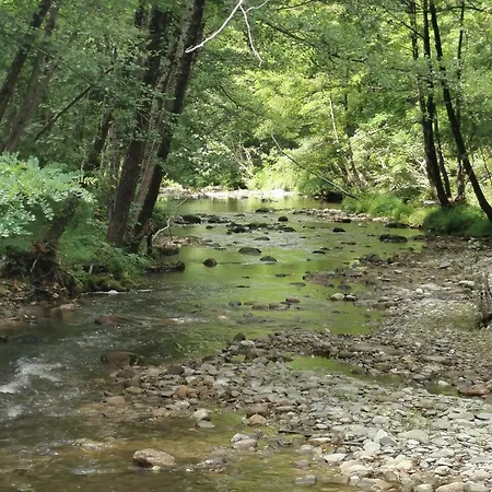 Mes Maisons - Two With Private And Shared Pools In Cevennes בית נופש Gagnières